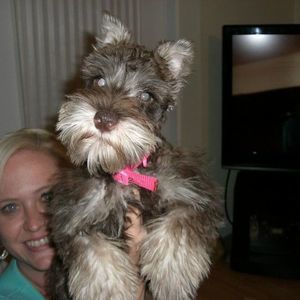 Meet your Posher, Judy